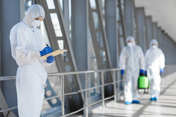 Best Residential Mold Inspection & Testing  in Sorgho, KY