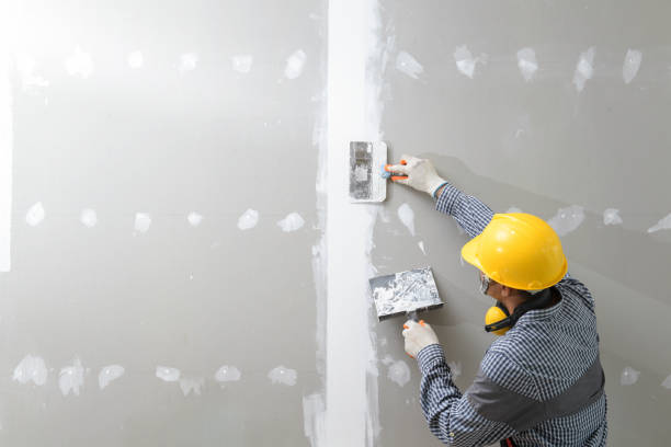 Best Asbestos and Lead Testing During Mold Inspection  in Sorgho, KY