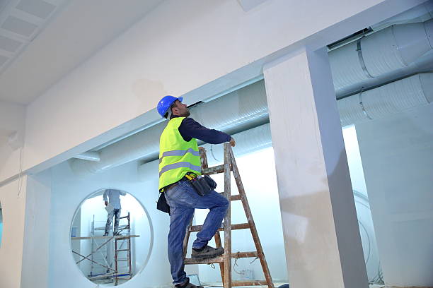 Best Mold Remediation for Healthcare Facilities  in Sorgho, KY